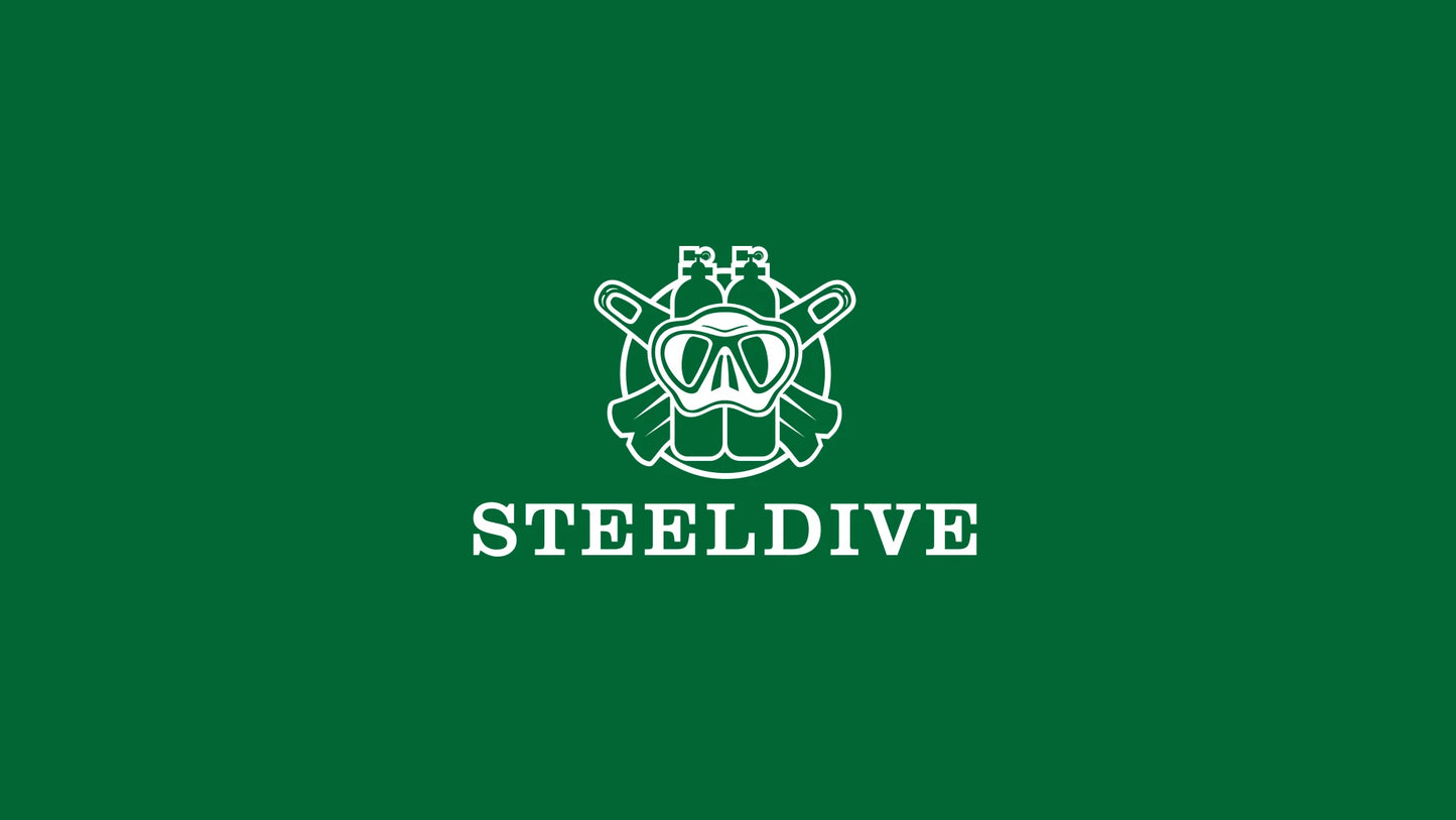 Steeldive SD1933 New Arrival 39MM Stainless Steel Case Sapphire Glass NH35 Automatic Dive Watch with Date
