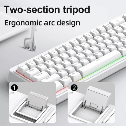 FREEWOLF M68SE 68 key wired mini keyboard, designed ergonomically, dazzling lights and compatible with multiple systems