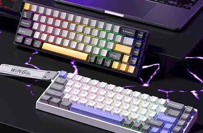 AULA WIN60 HE Magnetic Keyboard Wired Trigger 8K Return Esports Gamer Customize RGB Mechanical Gaming Keyboard