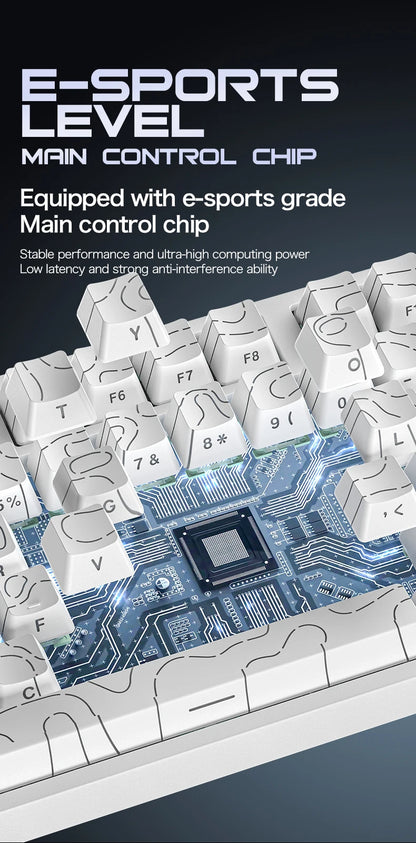 ATTACK SHARK R82HE Gaming Keyboard Magnetic 75% Wired 8000Hz Rapid Trigger ProGamer Keyboard, 0.005mm RT Accuracy, 0.08ms Latency