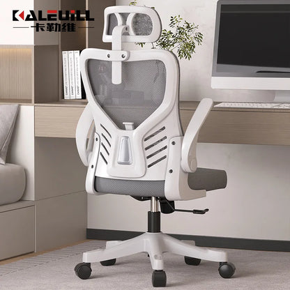 Office chairComputer  Office  Ergonomic  Office Sedentary Learning  Mahjong  Conference  Dormitory