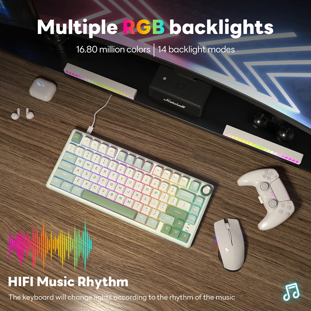 Royal Kludge RK R75 Brazilian Mechanical Keyboard Gasket Wired Gamer Keyboard Hot-swappable 80 Keys RGB Backlit MDA PBT Keycaps