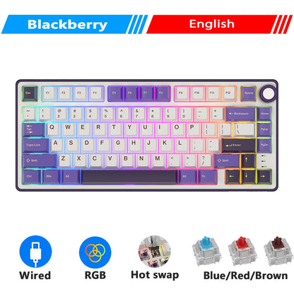 Royal Kludge RK R75 Brazilian Mechanical Keyboard Gasket Wired Gamer Keyboard Hot-swappable 80 Keys RGB Backlit MDA PBT Keycaps