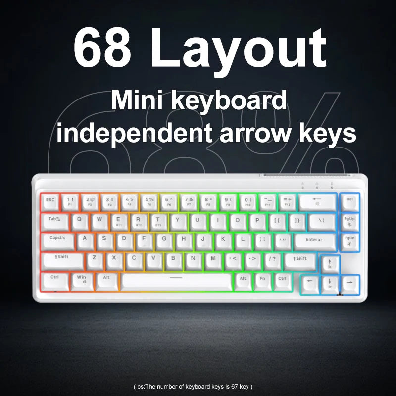 FREEWOLF M68SE 68 key wired mini keyboard, designed ergonomically, dazzling lights and compatible with multiple systems