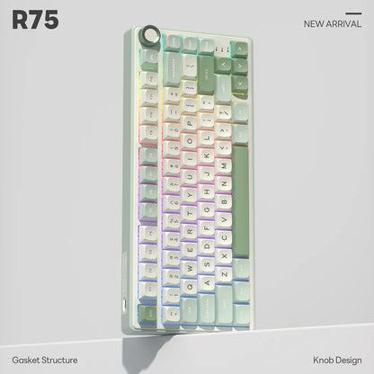 Royal Kludge RK R75 Brazilian Mechanical Keyboard Gasket Wired Gamer Keyboard Hot-swappable 80 Keys RGB Backlit MDA PBT Keycaps