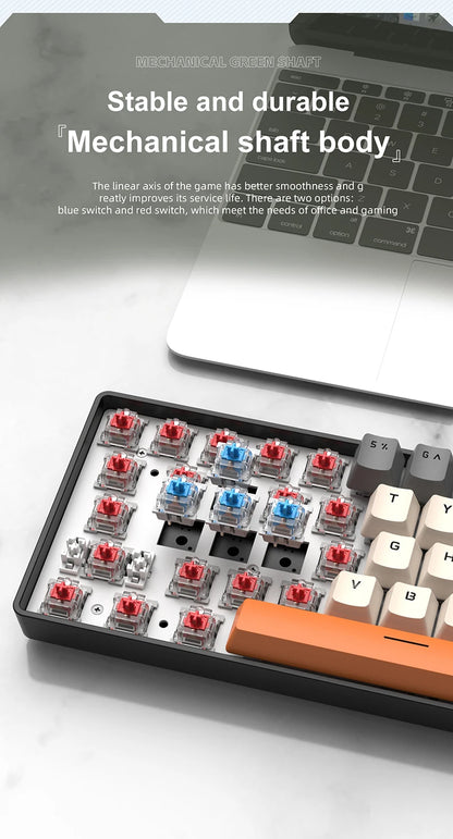 61 Keys RGB Mechanical Keyboard Wired K61 Mini Keyboard 60% Portable Black, White, Red/Blue Switch for Gaming/Work