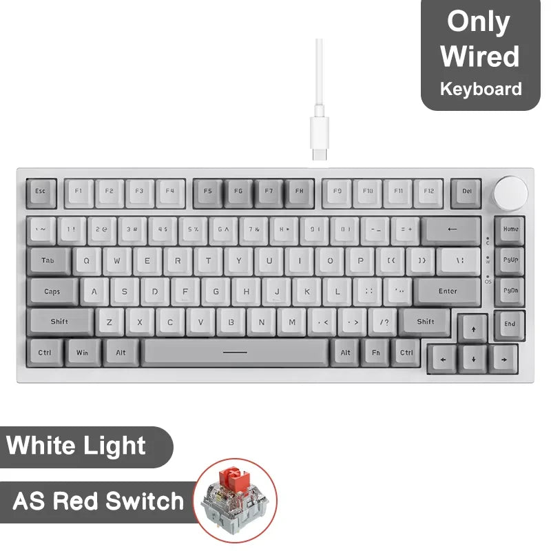 Ajazz AK820/AK820Pro Gaming Mechanical Keyboard Bluetooth 5.1/Wireless/wired  Custom Keyboard With Heat Exchange Sealed Button