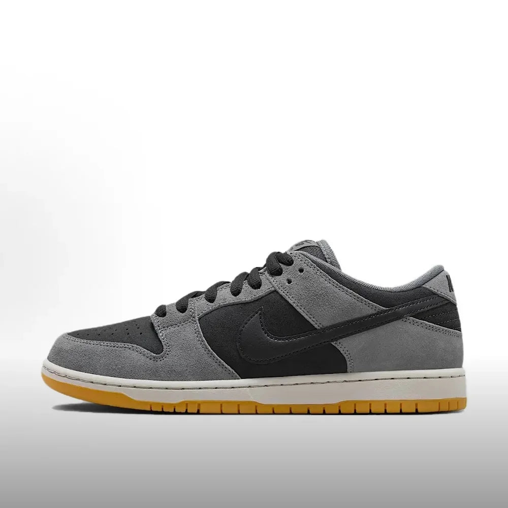 Nike Dunk SB Unisex Skate Shoes Comfort Cushioned Lightweight Durable Sneakers for Casual Streetwear Sports HF3063-001