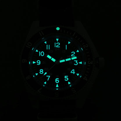 Watchdives WD1972 Quartz Watch VH31 Sweep Seconds Movement Sapphire Crystal BGW9 Luminous 20Bar Waterproof Vintage Men Watches