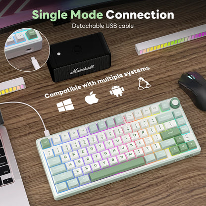 Royal Kludge RK R75 Brazilian Mechanical Keyboard Gasket Wired Gamer Keyboard Hot-swappable 80 Keys RGB Backlit MDA PBT Keycaps