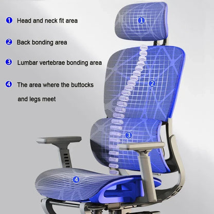 Gaming Chair Adjustable Relax Ergonomic Office Chair Study Long Sitting Cadeira Silla Gamer Office Supplies Daily Necessities