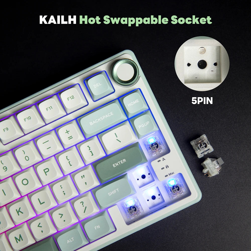 Royal Kludge RK R75 Brazilian Mechanical Keyboard Gasket Wired Gamer Keyboard Hot-swappable 80 Keys RGB Backlit MDA PBT Keycaps