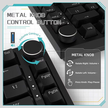 AK820 Wired Full-Key Hot-Swap Keyboard Removable USB Port White/Ice Blue Backlight Premium Sense Colorway